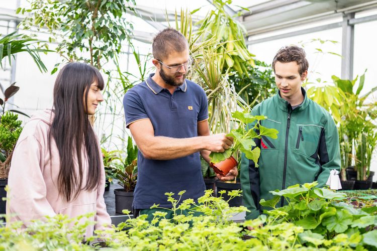 Don Bosco Ausbildung Garten