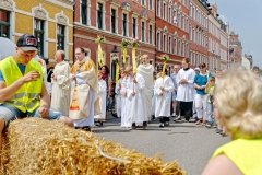 CHL_2589_DxO